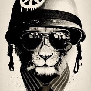 Meet your Posher, Ann